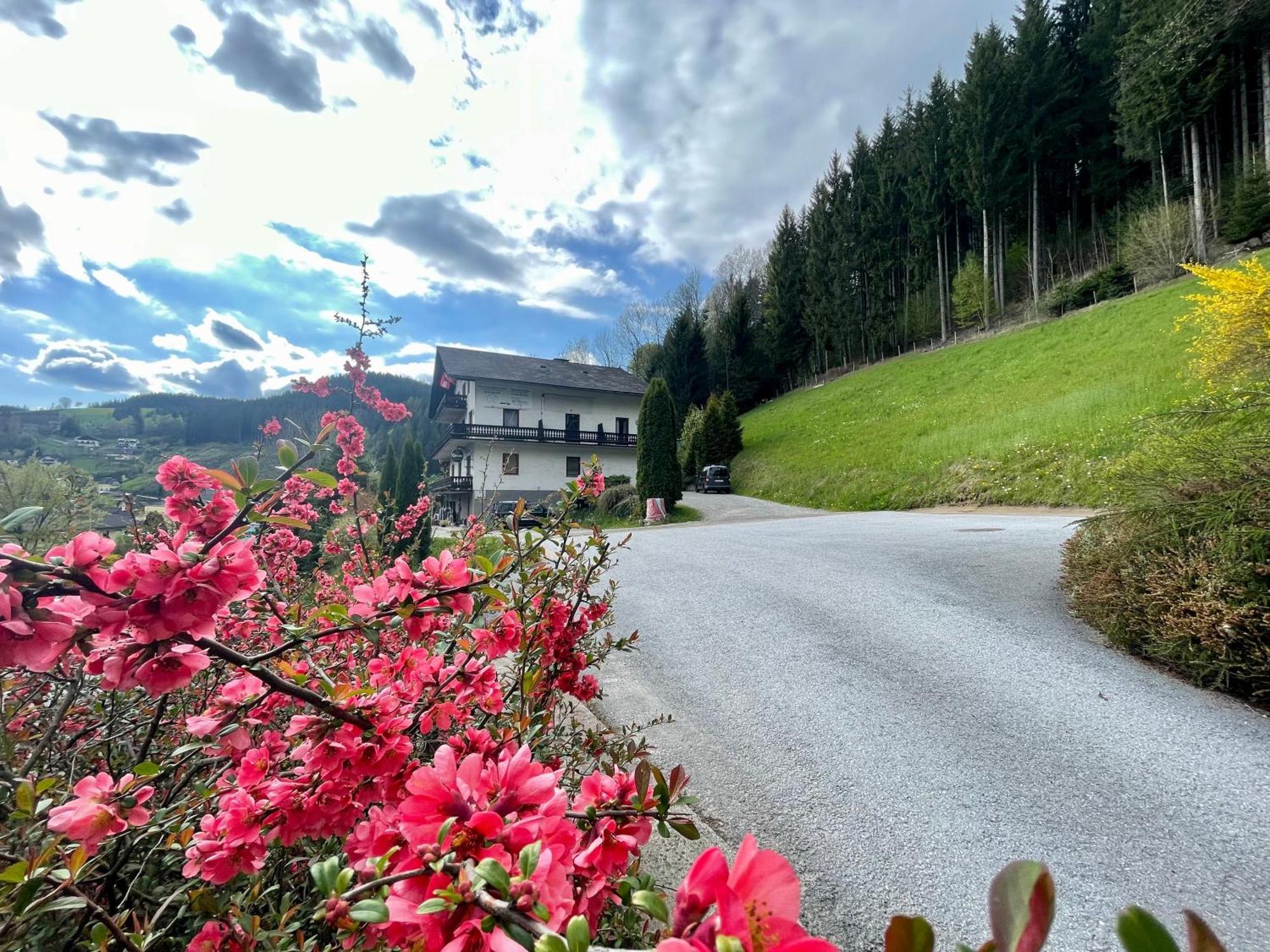 Alpenpension Gasthof Ratten Екстер'єр фото